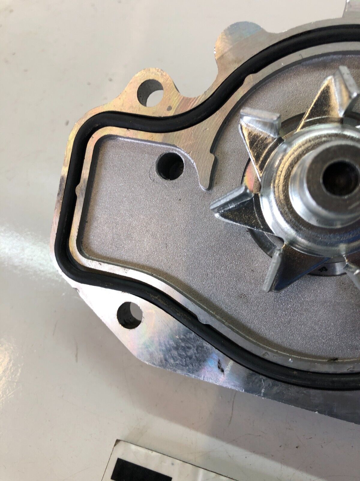 1994-2001 Acura Integra Water Pump New Open Box B18B1 19 Tooth