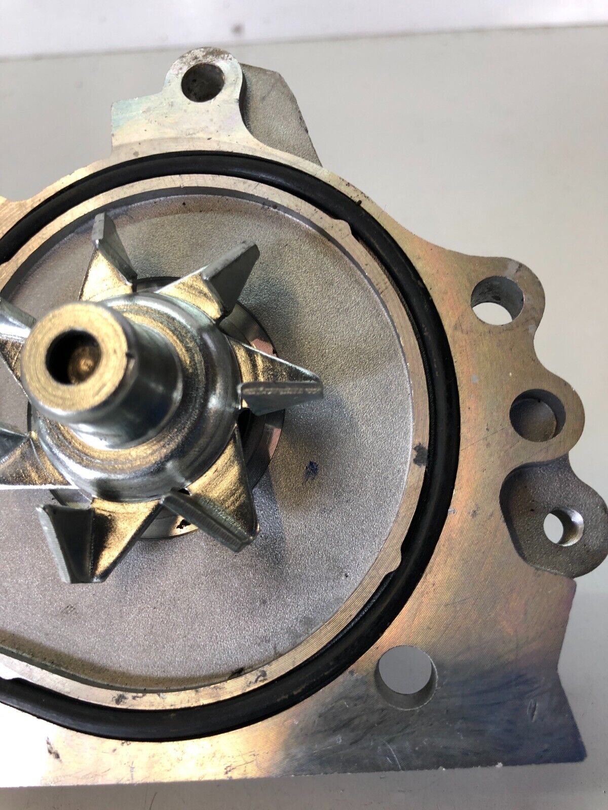 1994-2001 Acura Integra Water Pump New Open Box B18B1 19 Tooth