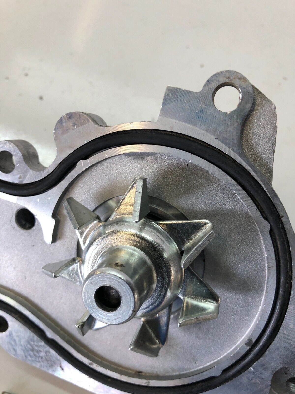 1994-2001 Acura Integra Water Pump New Open Box B18B1 19 Tooth