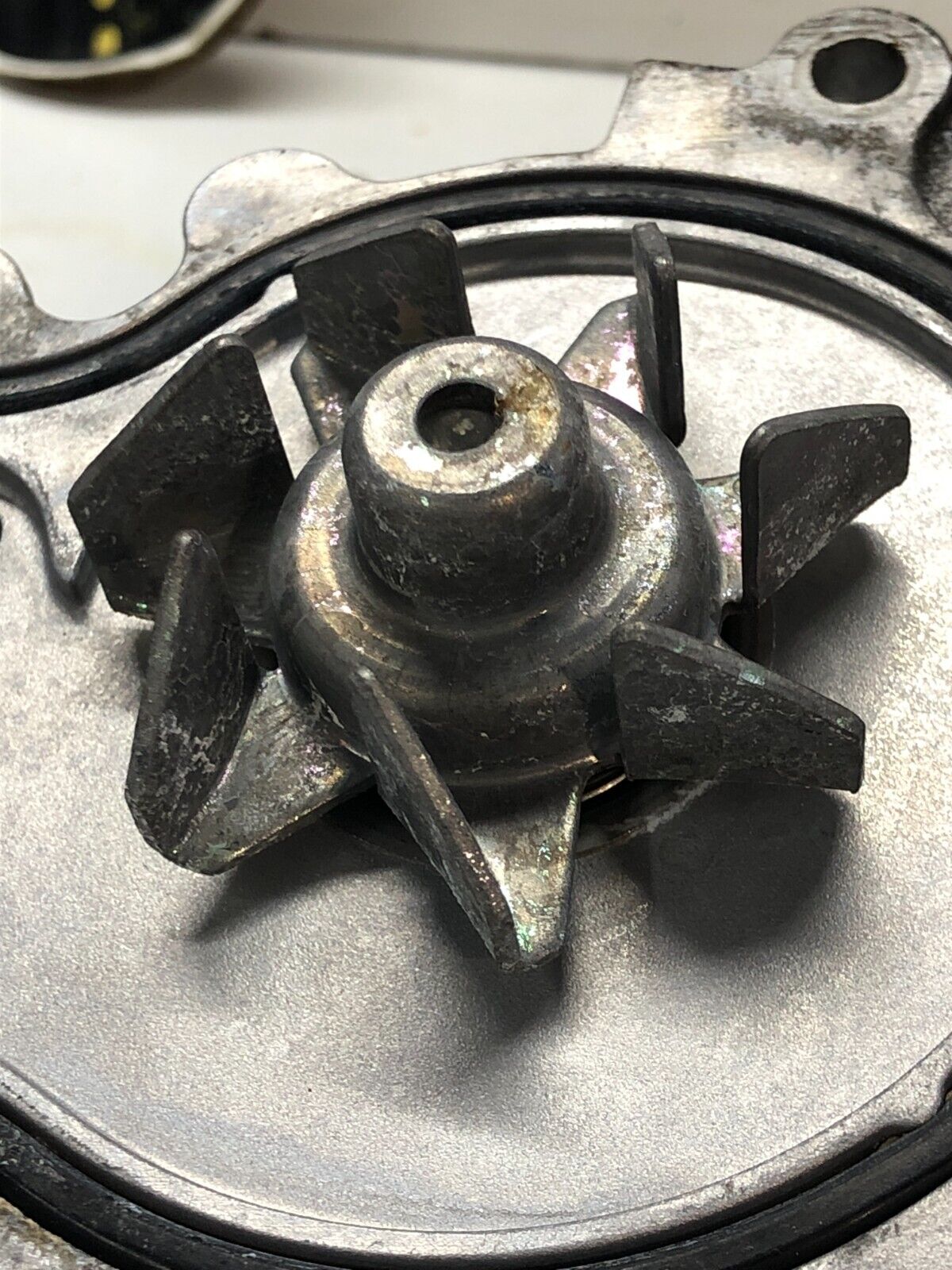 OEM Honda Water Pump for Acura Integra GSR B18C B18C1 & Type R ITR B18C5 B18C6