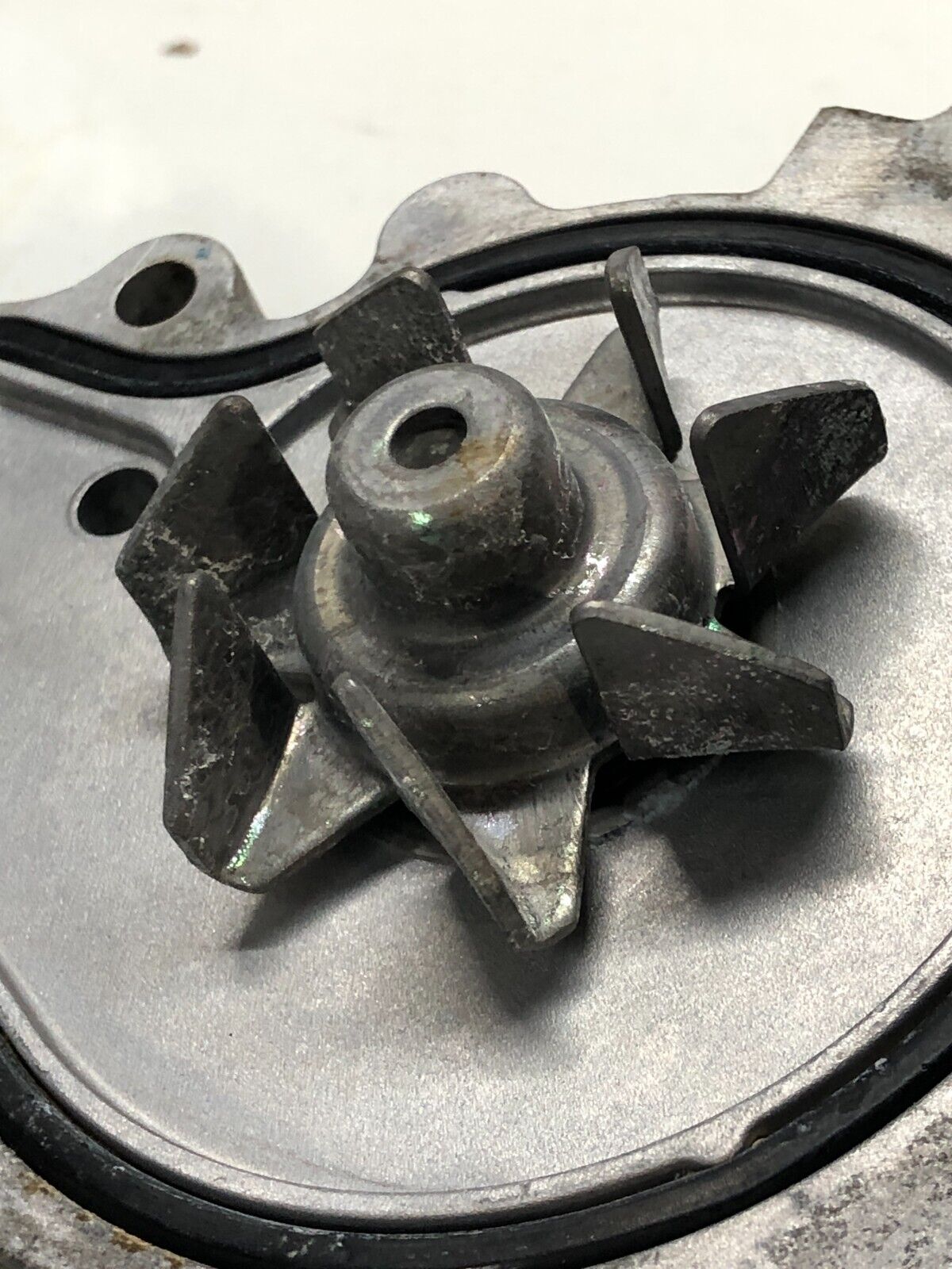 OEM Honda Water Pump for Acura Integra GSR B18C B18C1 & Type R ITR B18C5 B18C6